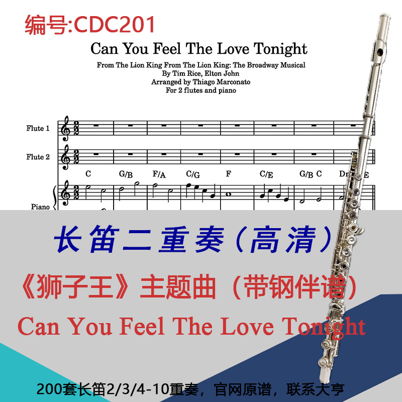 CDC201长笛二重奏《狮子王》Can You Feel The Love Tonight