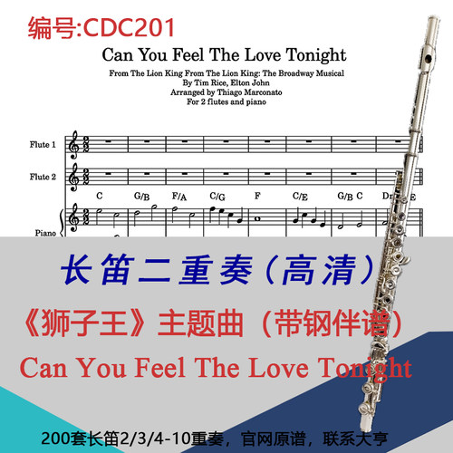 CDC201长笛二重奏《狮子王》Can You Feel The Love Tonight