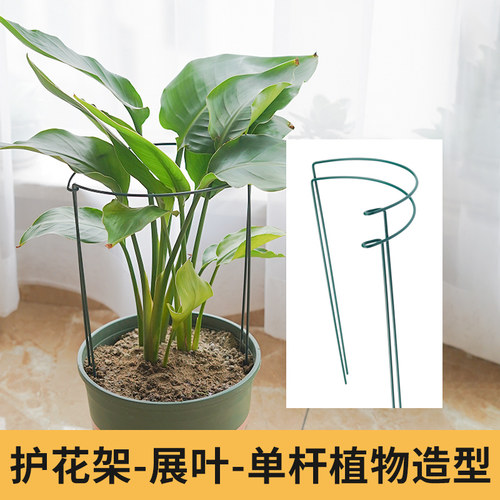 铁艺佐葛植物支撑花架