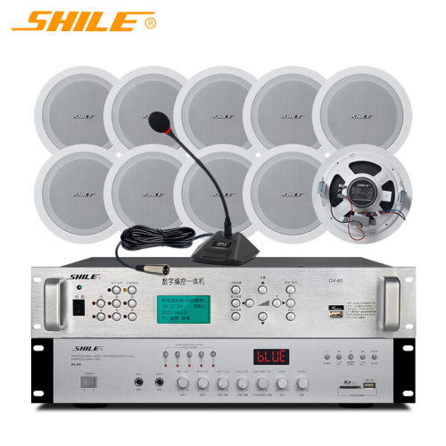 狮乐广播音响系统 功放音响定压套装 DV-80+T-602*10+DV-60+SH-04
