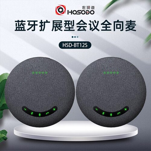 宏视道HSD-BT12S一拖二麦克风