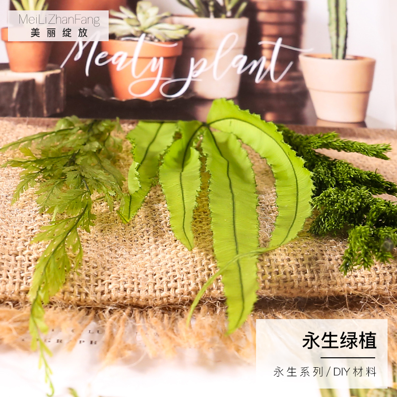 香薰蜡烛石膏DIY干花永生绿植石松凤尾草龙须草家居装饰插花材料