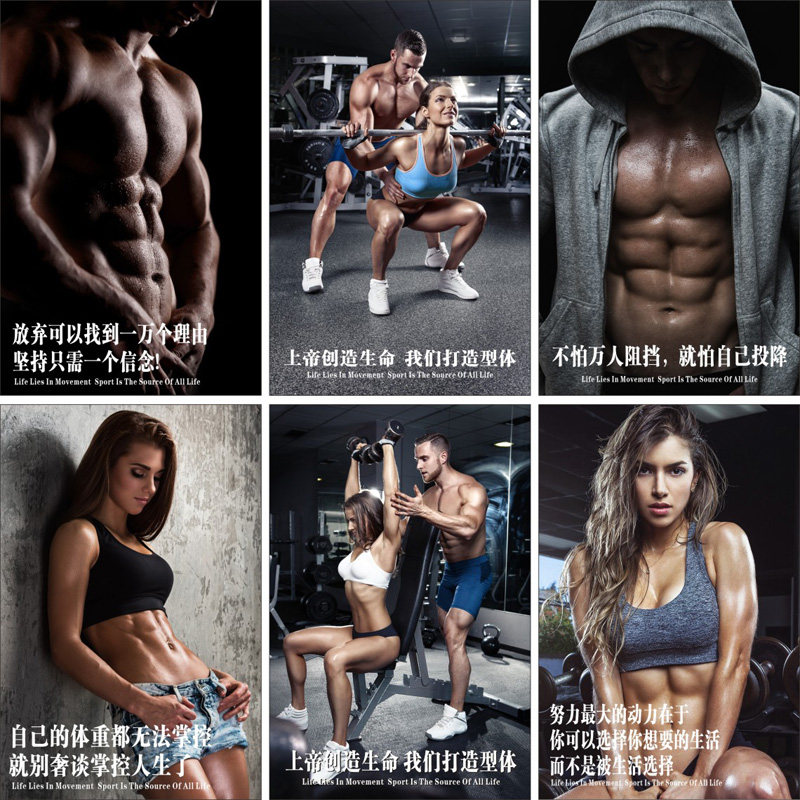 健身房海报订做壁纸挂画定做瘦身健美性感马甲线运动男女肌肉图解