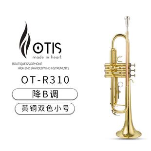 R310 OTIS 小号