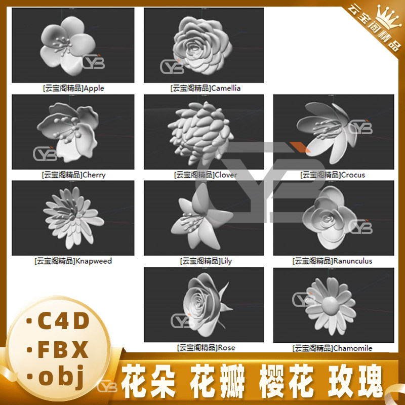 花朵 花瓣 樱花 玫瑰花 犀牛建模rhino/c4d/3dmax/maya模型objfbx