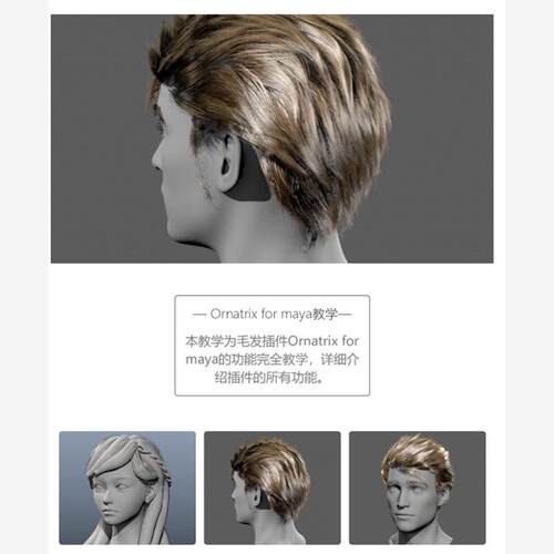 Ornatrix for maya毛发插件教程男女角色人物头发片制作视频教程