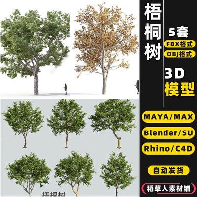 blender梧桐树乔木景观树Rhino犀牛SU/C4D/3Dmax模型FBX/OBJ/MAYA