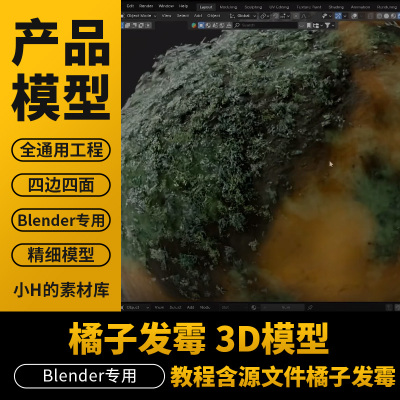 橘子发霉3D食物霉变模型 Blender专用带教程含源文件发霉3D模型