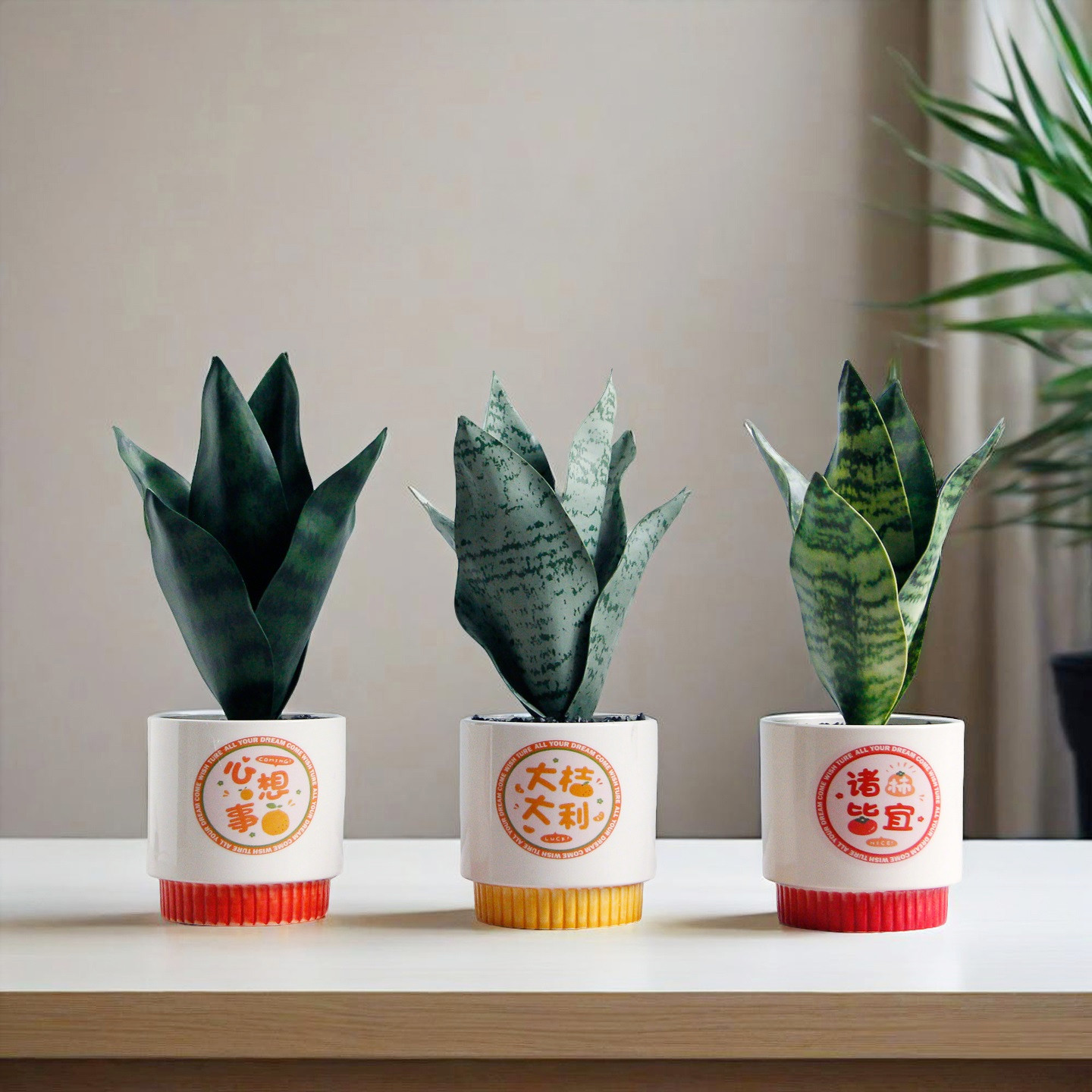 创意仿真虎皮兰客厅绿植盆栽摆件室内假植物装饰品办公室摆设桌面