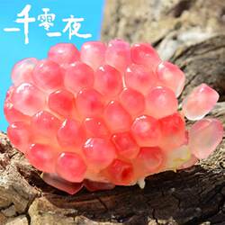 特大果 新鲜薄皮云南蒙自甜石榴 硬籽水晶老树石榴 单果8两以上