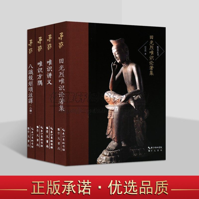 唯识学丛书(第六辑)田光烈唯识论著集唯识讲义唯识方隅八识规矩颂注译 唯识论文集著作 崇文书局