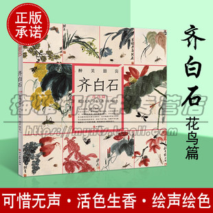 醉美册页 齐白石 花鸟篇 可惜无声 活色生香 绘声绘色 国画作品赏析美术绘画技巧名作绘画美术画册水墨画白描线描工笔画技法书籍
