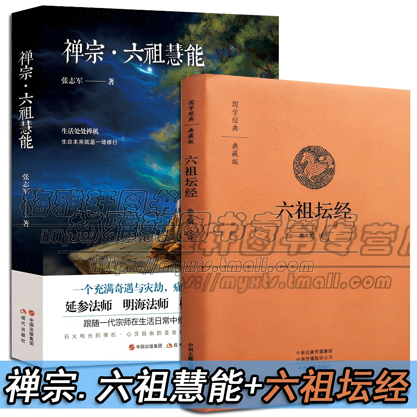 六祖坛经+禅宗六祖慧能传奇禅宗创始人语录传记佛学著作禅法汉传文化宗教哲学佛经佛家禅门坛经中华书局经典文化思想哲学书籍