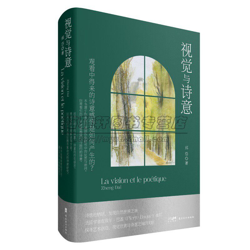 视觉与诗意郑岱从视觉的角度欣赏诗与画艺术实践经验涉及中西美学原理世界艺术文学鉴赏艺术生活书籍