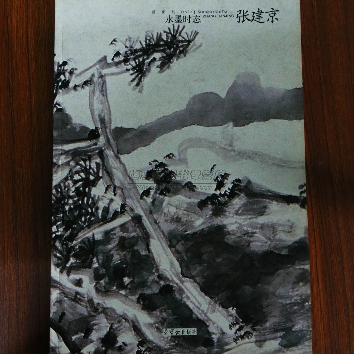 【8成新】新世纪水墨时态张建京中国当代现代名家画集画册画谱写意国画山水人物花鸟临摹入门国画基础作品赏析绘画美术书籍