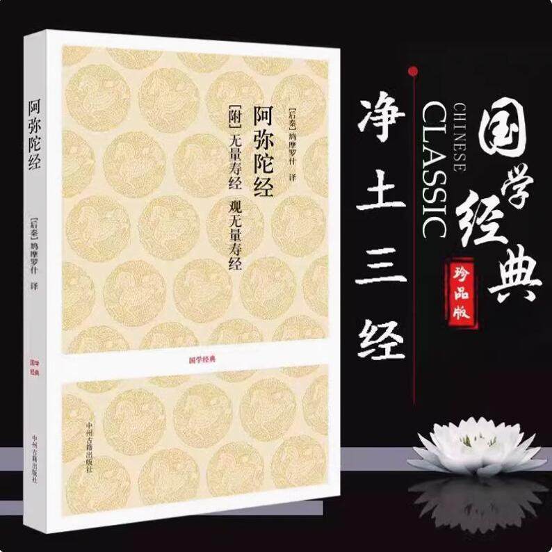 正版阿弥陀经原版国学经典佛教经典佛学入门基础佛经理论原文译文注释解读国学传统文化佛经佛家经书要解图书宗教文化思想哲学书籍图片