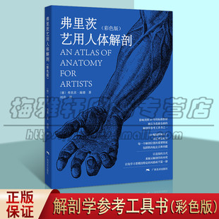 弗里茨艺用人体解剖 彩色版 素描几何形体大师临摹人物速写绘画教学美术艺考教程指南艺用人体结构临摹绘画技法教程书籍  广西美术