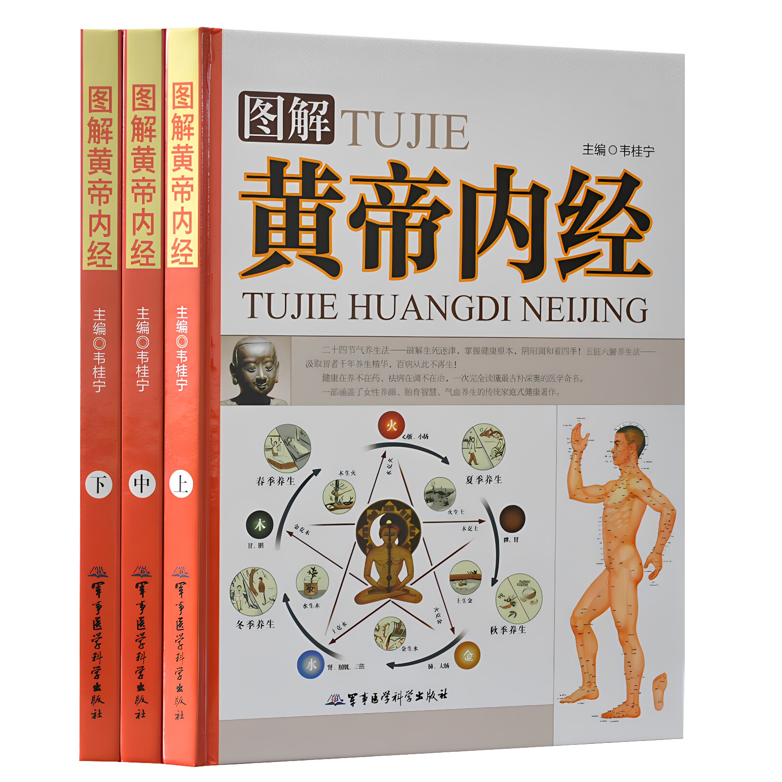 正版包邮经典图解黄帝内经白话文皇帝内经彩图版中医医学养生名著原版素问灵枢中医古籍著作书籍