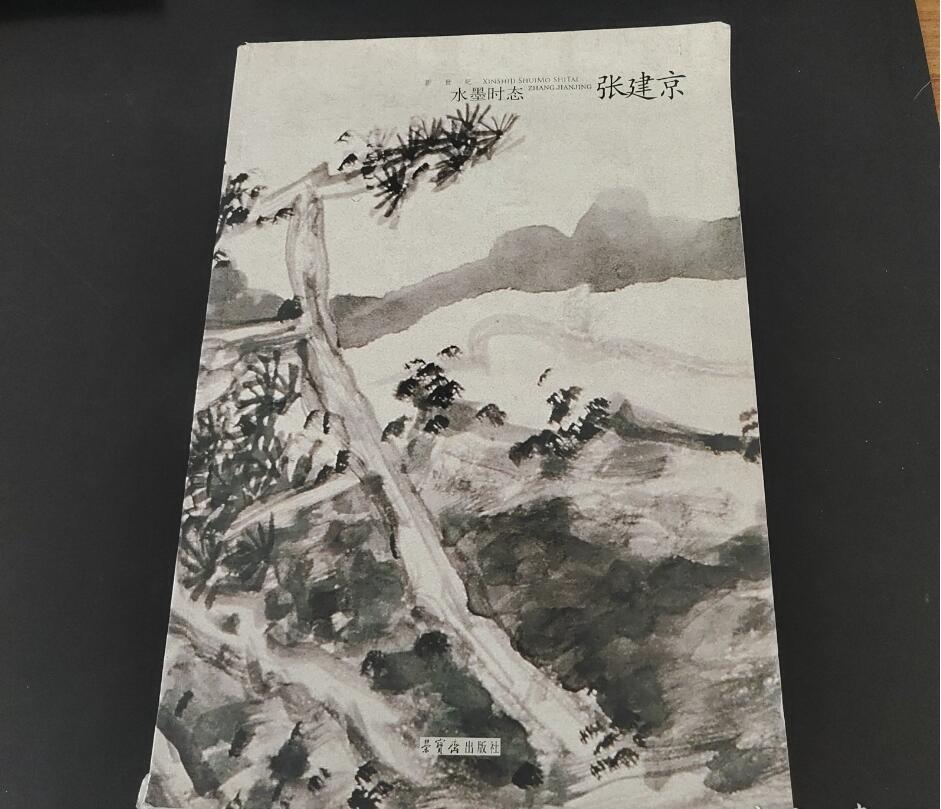 【5成新】新世纪水墨时态张建京 中国当代名家画集画册画谱写意国画山水人物花鸟临摹入门国画基础作品赏析 美术书籍