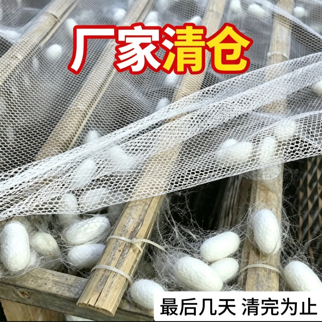2.6米宽结茧盖网上簇网养蚕用具品蚕上簇盖的纱网布钉钉簇盖网