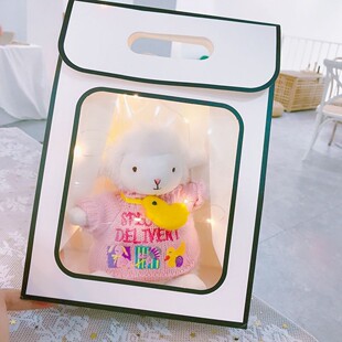 美国bunnies小羊玩偶抖音同款毛绒玩具衣服裙子配件可爱女生礼物