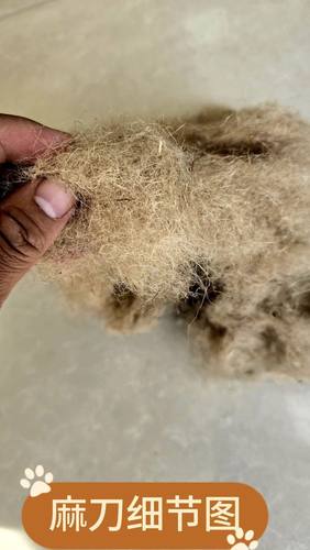 短切黄麻麻刀古建筑麻刀泥塑麻刀白灰水泥麻刀2公分左右长度