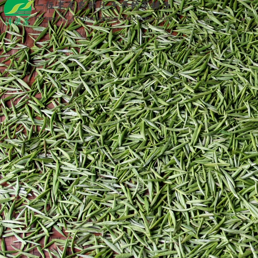 明前头采茶浮梁县浮北小茶农