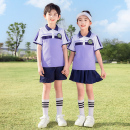 一年级紫色班服短袖 小学生校服春秋装 幼儿园园服运动三四件套夏季