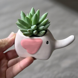 千佛手创意办公室内桌面卡通可爱空气凤梨陶瓷迷你小盆栽植物摆件