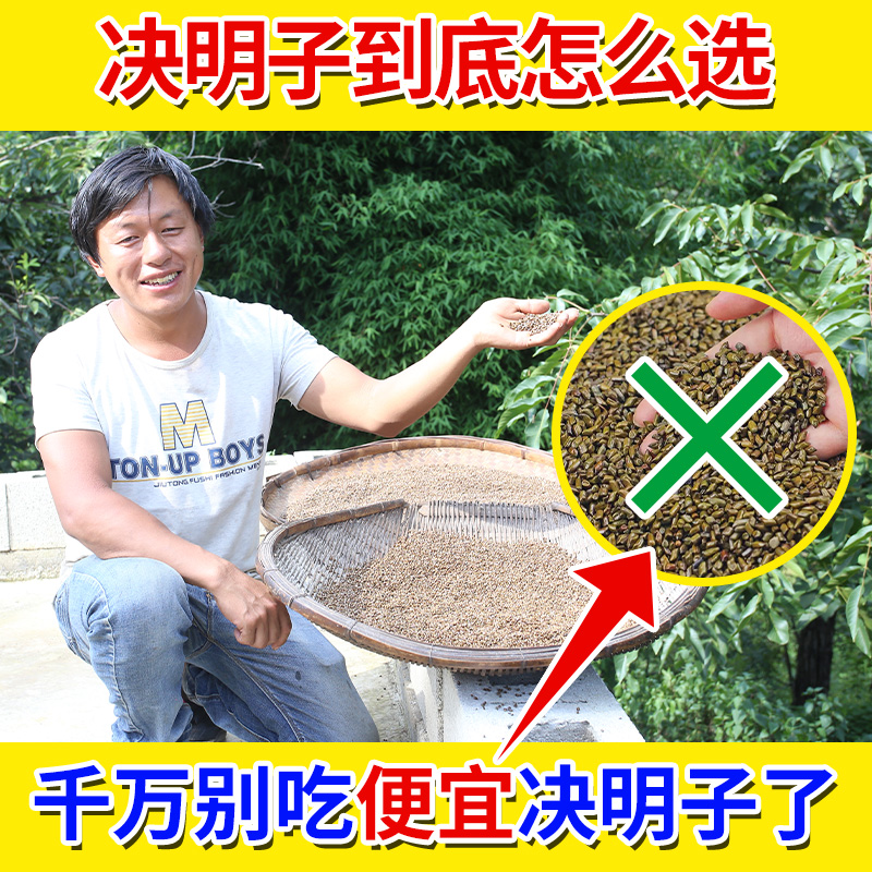 深山决明子正品特级生决明子500g可炒熟决明子可搭配牛蒡根泡水