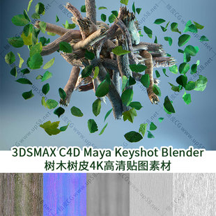 3DSMAX C4D Maya Keyshot Blender树木树皮4K高清贴图素材