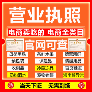 全国电商代个体户营业执照办理海南注册公司个人企业工商抖音虾皮
