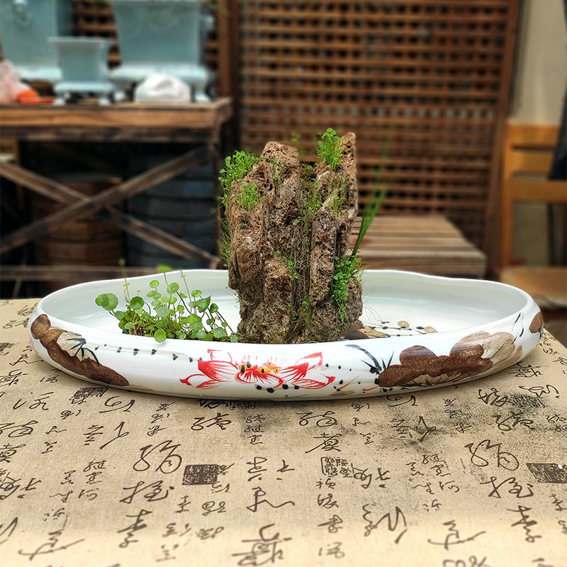 景德镇手绘陶瓷无孔水培水养铜钱草多肉花盆椭圆形假山盆海鲜摆盘