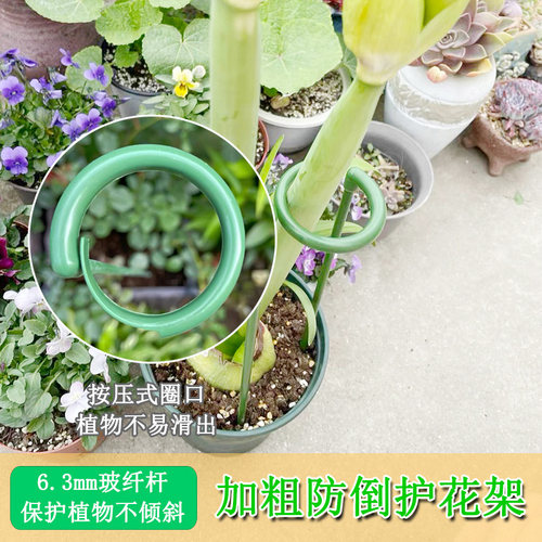 花架子园艺花卉造型蝴蝶兰花支架