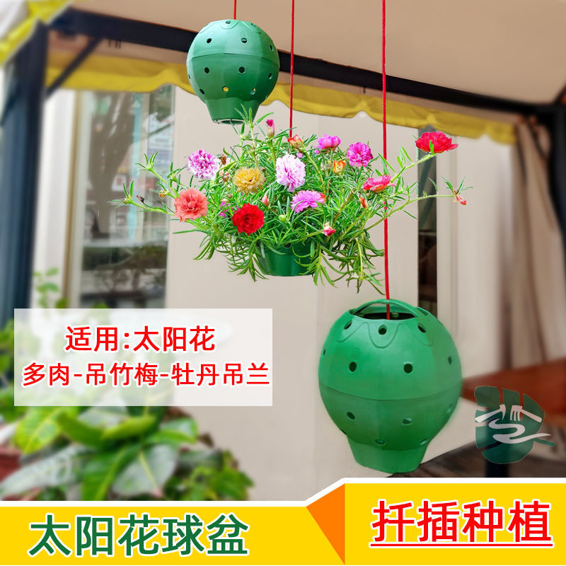创意造型太阳花多孔球形塑胶花盆