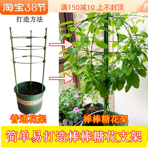 包邮爬藤架球形花架太阳花茉莉铁线莲蓝雪花棒棒糖造型支撑攀爬架