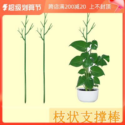 家庭园艺花支架插花杆龟背竹植物防倒伏支撑树枝造型装饰爬藤杆子