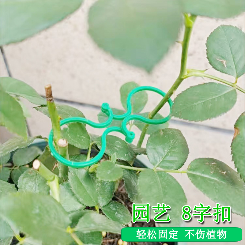 园艺扣圈蝴蝶兰八字植物捆绑扎带