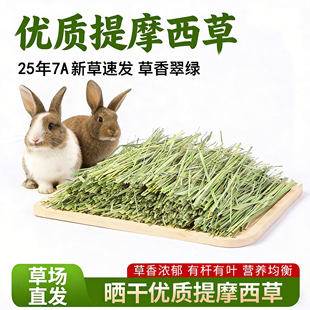 25年新提摩西草兔子专用干草兔草进口提草豚鼠荷兰鼠龙猫牧草兔粮