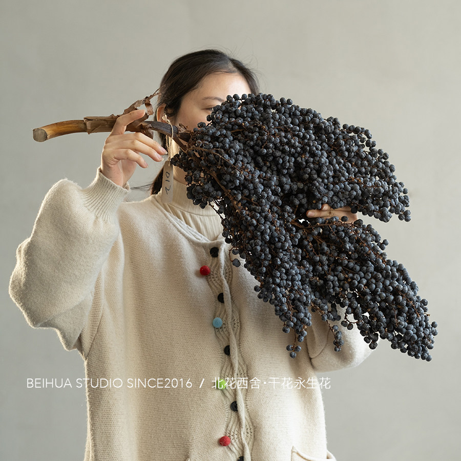 蓝莓果自然干果枝挂墙花艺 民宿软装陈设拍照道具无染色小众果实