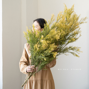 天然干花千层金真花风干diy材料 插花配花装饰摆件北欧风拍照道具