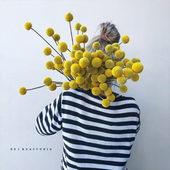 黄金球干花北欧家居软装 天然植物干果干花永生花摆件婚庆拍摄道具