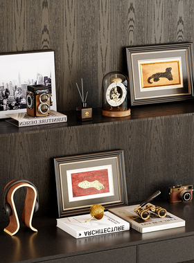 美拉德系客厅样板间书房书柜摆件复古摄影主题壁龛高级感软装饰品