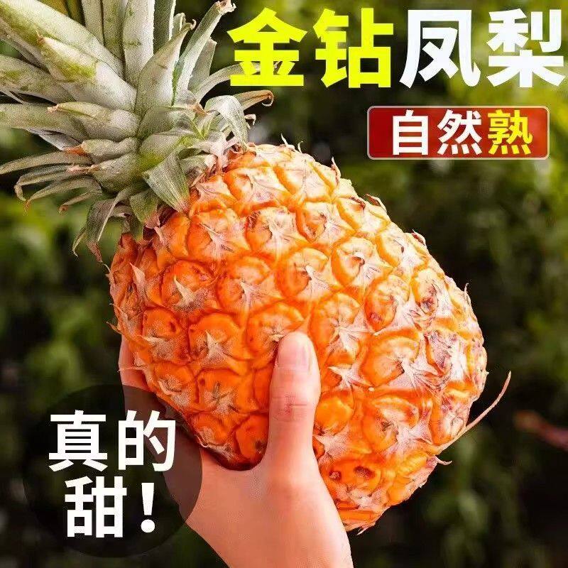 海南金钻凤梨新鲜水果当季整箱包邮