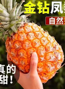 海南金钻凤梨新鲜水果当季整箱包邮