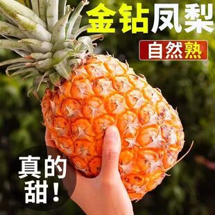 海南金钻凤梨新鲜水果当季整箱包邮