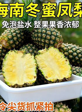 海南冬蜜凤梨新鲜水果当季整箱包邮