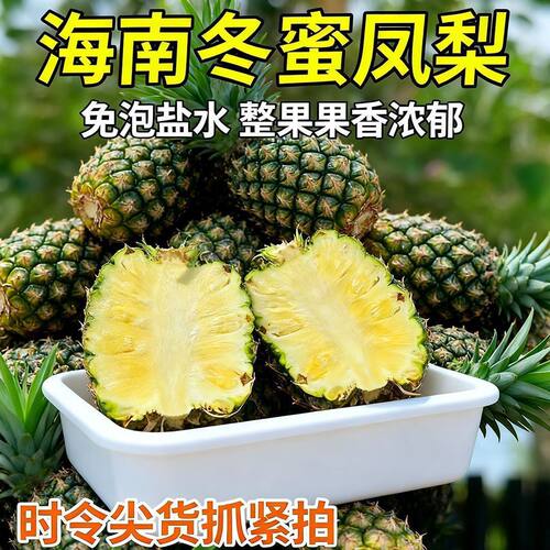 海南冬蜜凤梨新鲜水果当季整箱包邮