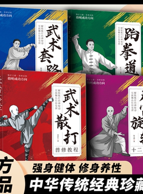 武术散打普修教程武术套路普修教程九宫旋转十二桩法跆拳道教程