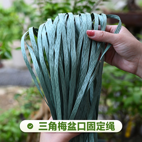 花百事三角梅花盆口固定绳子绑带